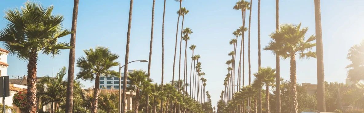 Downtown Los Angeles Things to Do